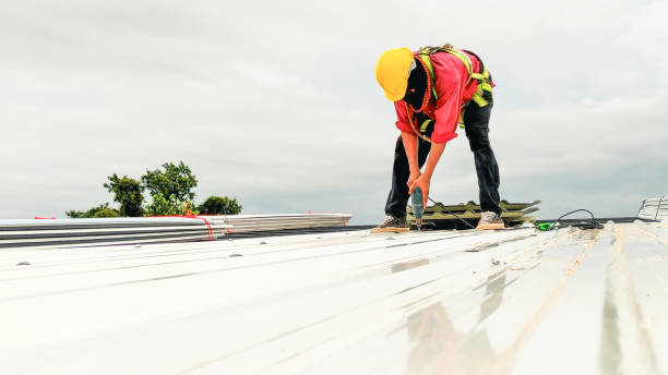 Best Roof Coating Services  in Muskegon, MI