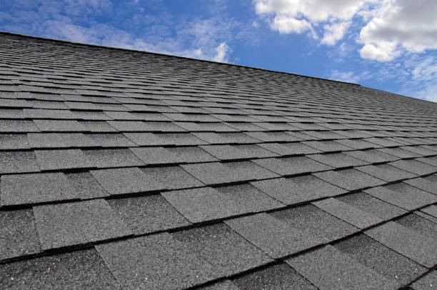 Roof Coating Services in Muskegon, MI